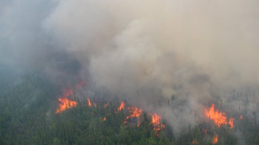Marie Creek Fire, 6/21/12