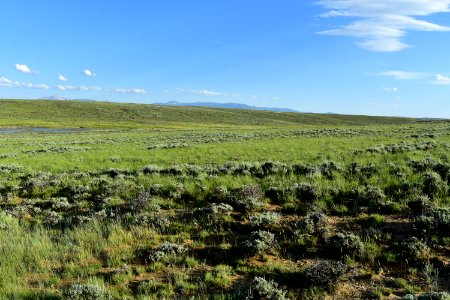 Sage steppe at Arapaho National Wildlife Refuge photo