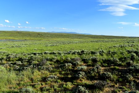 Sage steppe at Arapaho National Wildlife Refuge