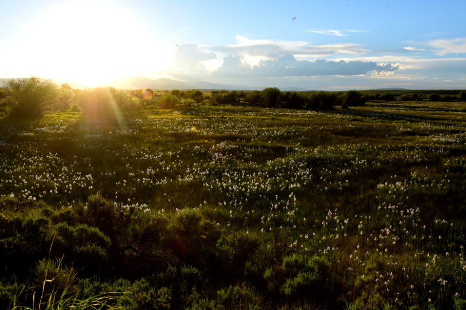 Illinois River on Arapaho National Wildlife Refuge