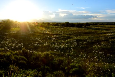 Illinois River on Arapaho National Wildlife Refuge