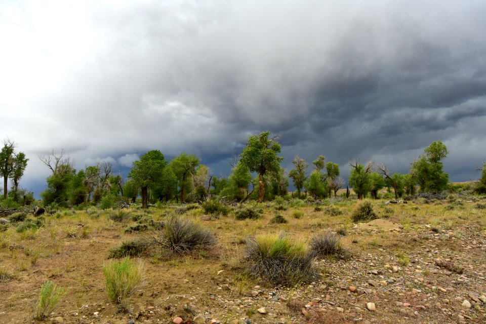 Storm rolling in at Seedskadee National Wildlife Refuge