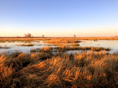 Seedskadee National Wildlife Refuge wetlands