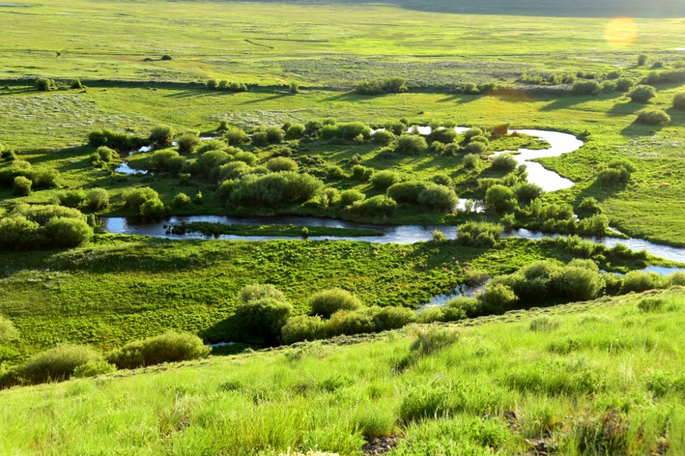 The Illinois River and adjacent wetlands and oxbows on Arapaho National Wildlife Refuge