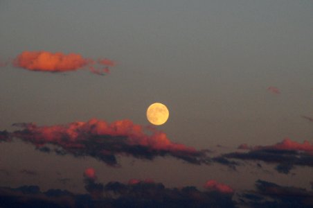 Moon rising over Seedskadee National Wildlife Refuge