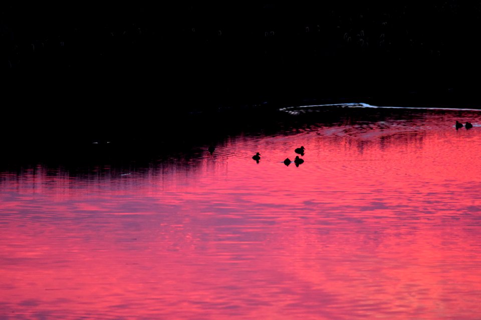 Seedskadee National Wildlife Refuge