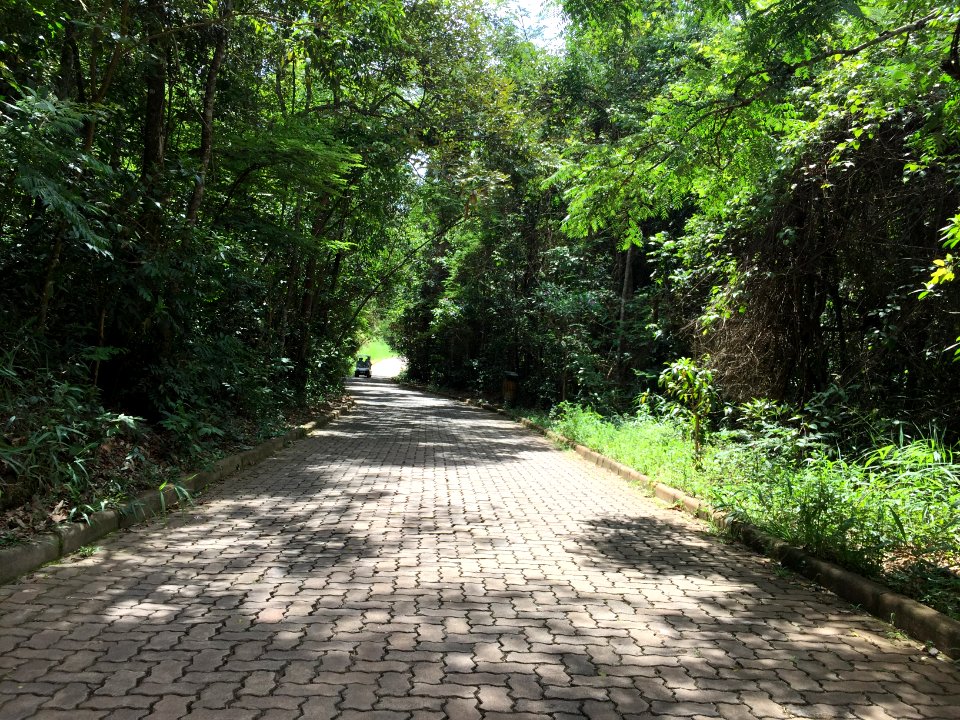 Inhotim