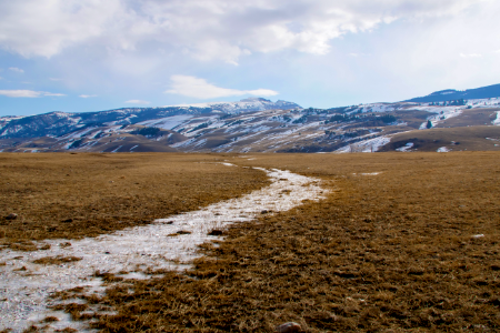 Spring on the National Elk Refuge photo