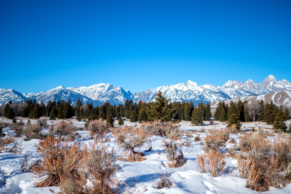 View of the Tetons from the National Elk Refuge