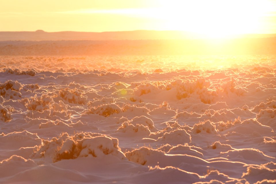 Sage steppe in winter at Seedskadee National Wildlife Refuge
