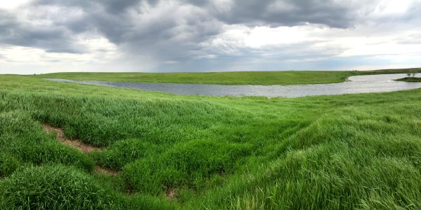 Malm Waterfowl Production Area