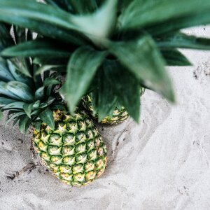 Food healthy fresh