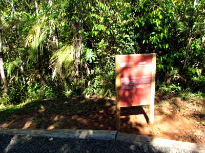 IMG 2532