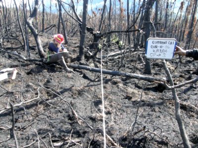 Lake Clark Current Creek Fire 2014