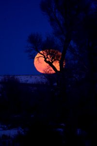 Moon rise at Seedskadee National Wildlife Refuge