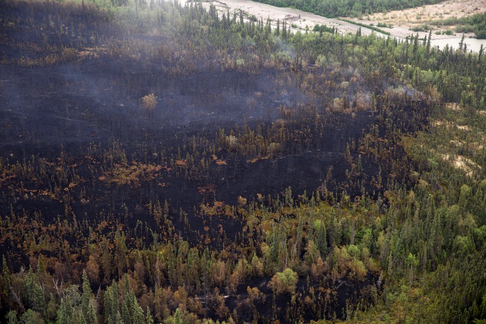 Currant Creek Fire, 6-27