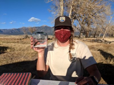 Fish Survey