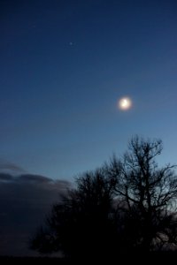 Stars, Moon, and Tree photo