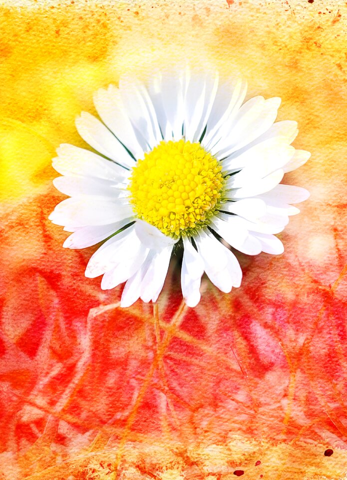 Bloom white painting