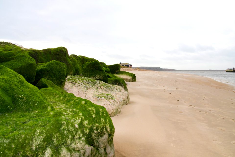 Mudeford 068
