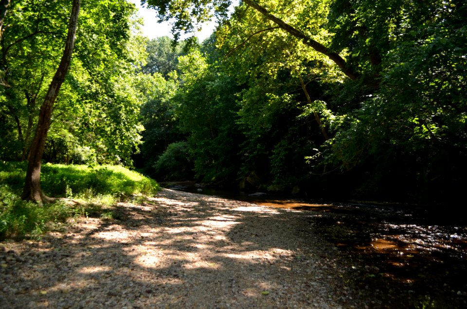 Patuxent River