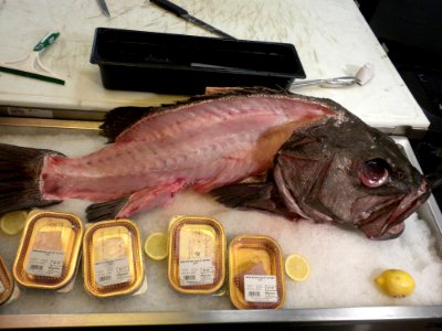 Wreckfish at Wegmans