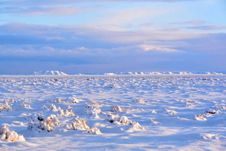 Sage steppe in winter at Seedskadee National Wildlife Refuge