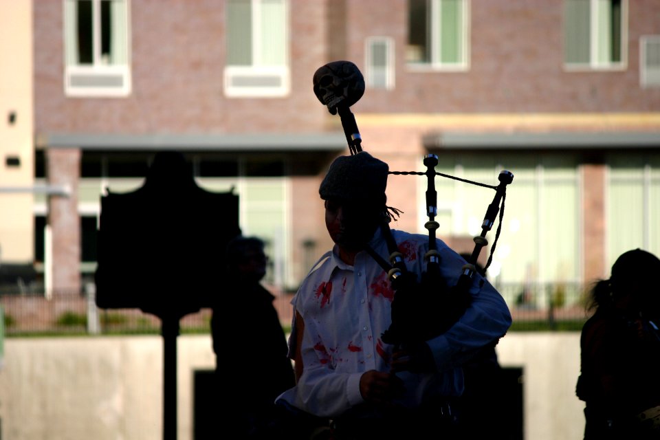 IMG 9539