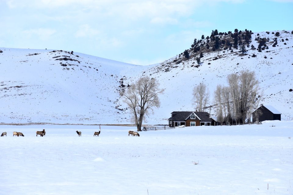 The Historic Miller Ranch