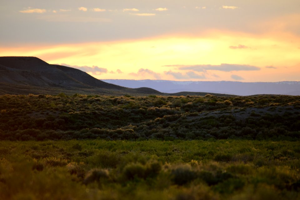 Sage steppe at Seedskadee National Wildlife Refuge