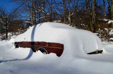 Neighbor Dave's old Ford LTD