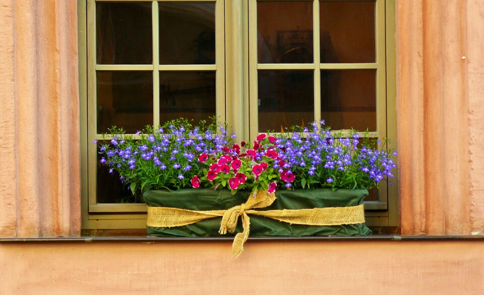 Flower box flowers decorative