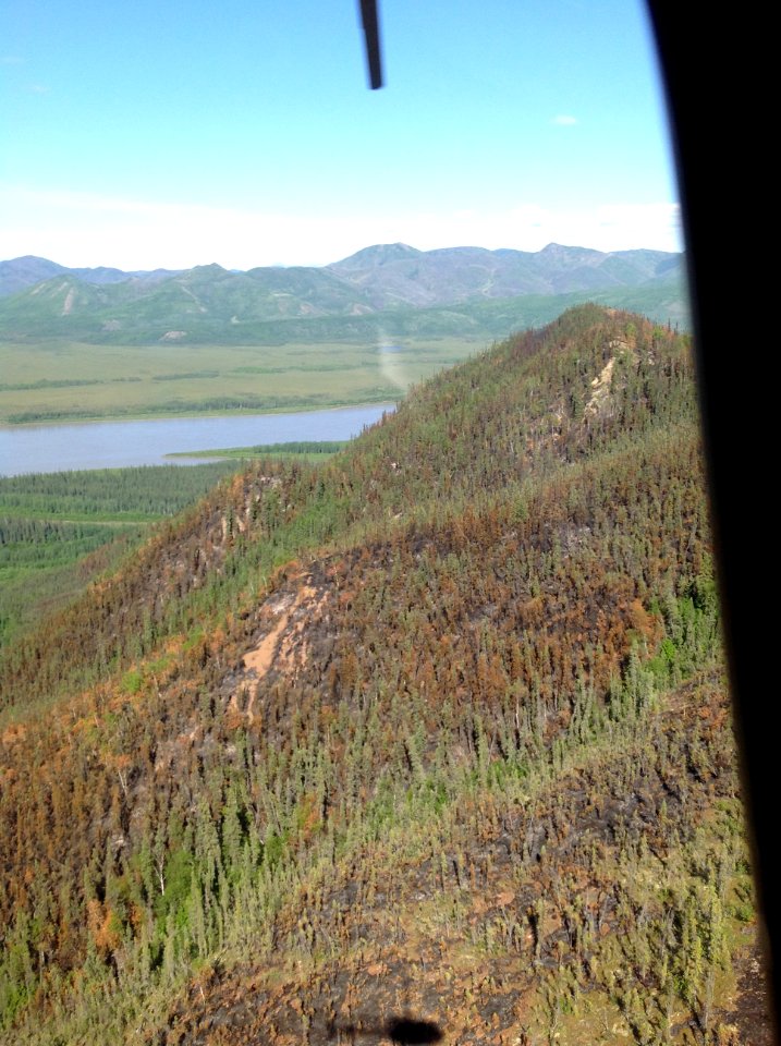 Trout Creek Fire, Yukon-Charley Rivers National Preserve