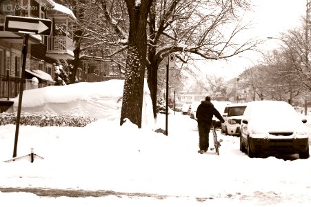 Jamais sans le vélo...même l'hiver /  Never without the bike, even the winter