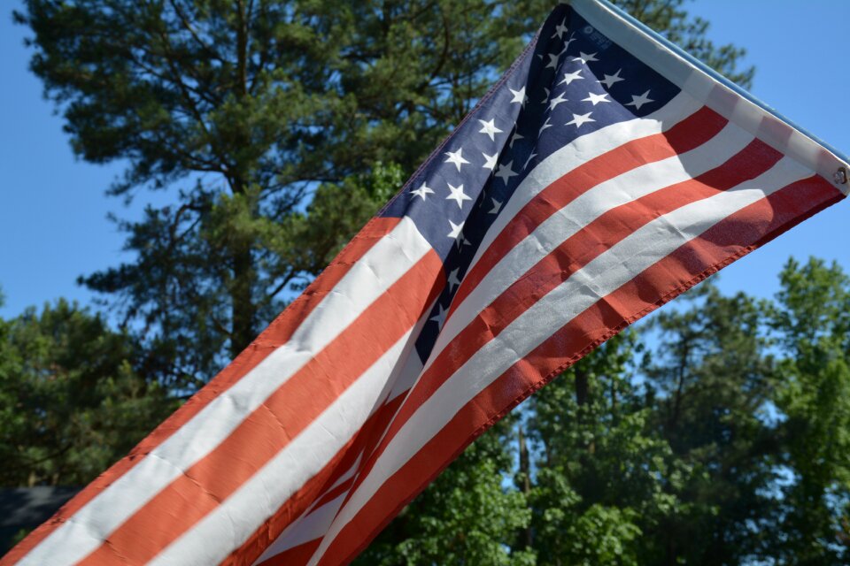 Flag american flag tree