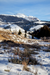 Sheep Mountain