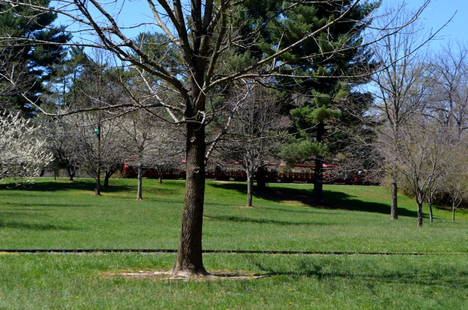 Wheaton Regional Park