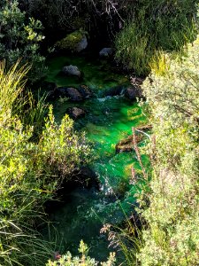 Green waters photo