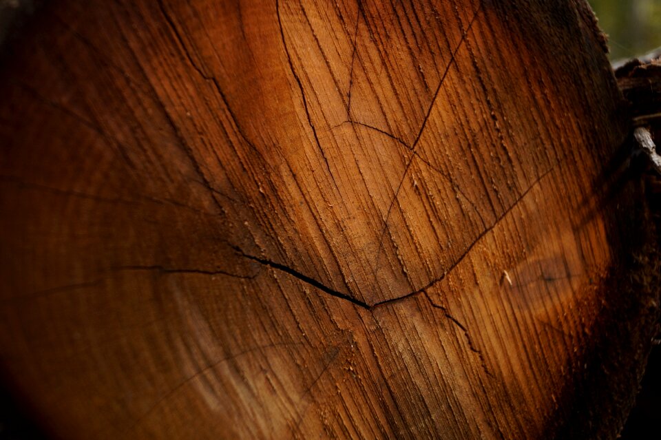 Pattern stubs forest