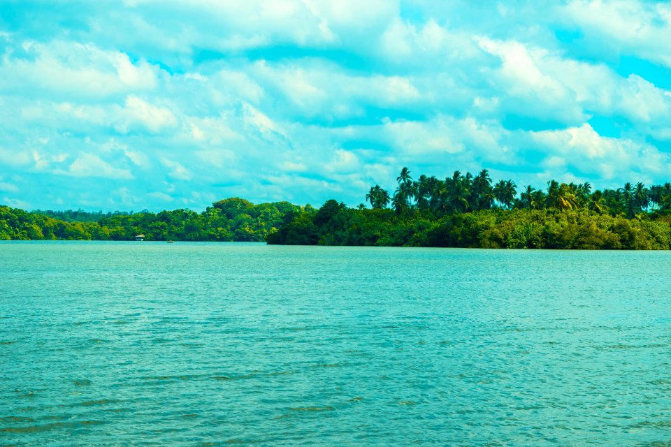 Polgasduwa Dodanduwa