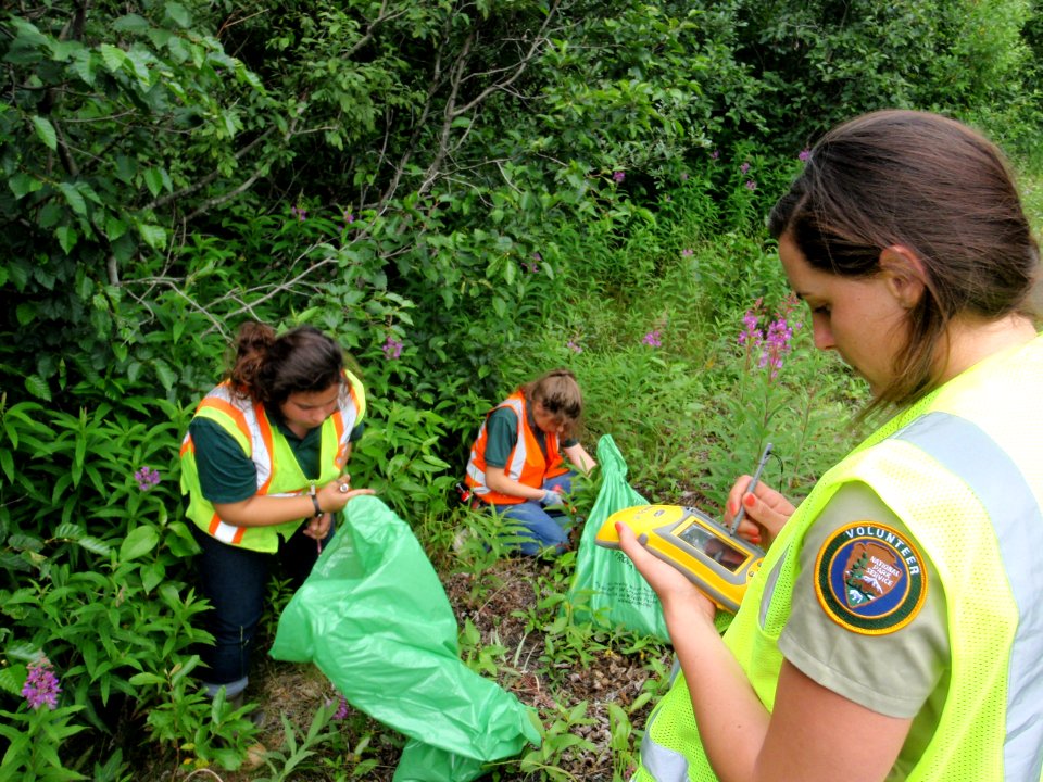 KEFJ FieldWork 2015 ExoticPlantManagement KosterM&AposporosK&HamnerE 20150721 DeckerM