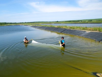 Seining ponds photo