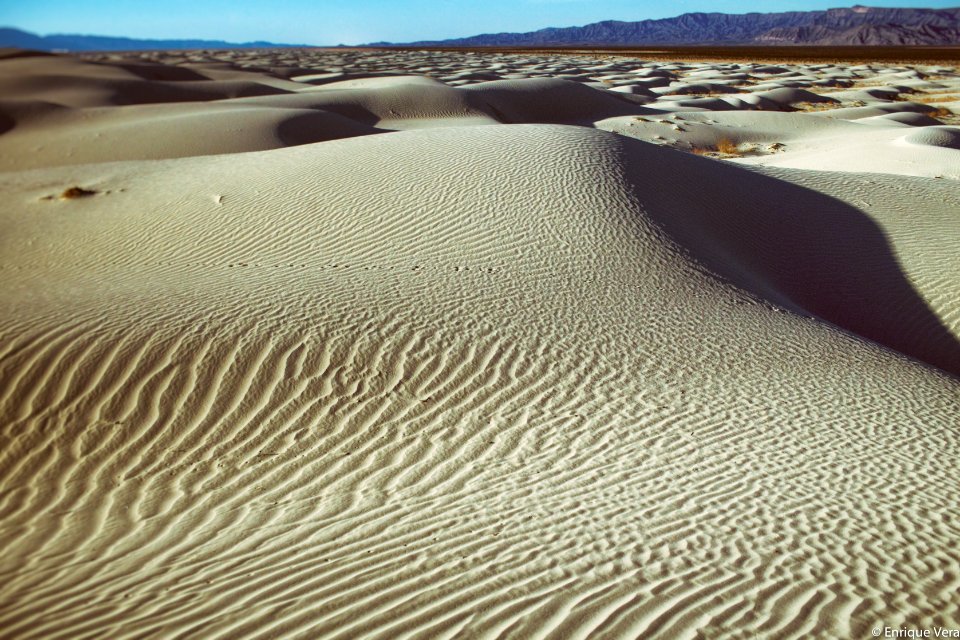 El Topo