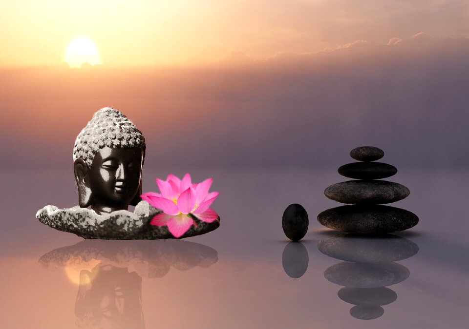 Balance wellness asia