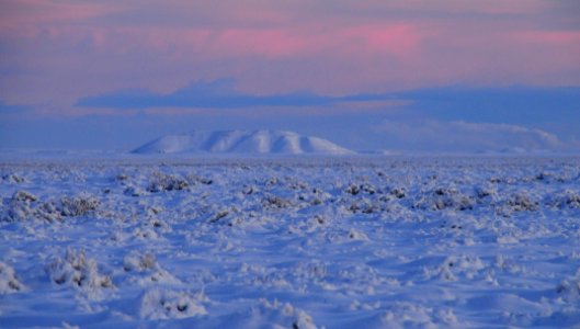 Sage steppe in winter at Seedskadee National Wildlife Refuge