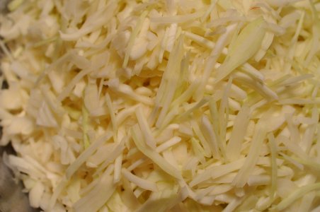Sauerkraut photo