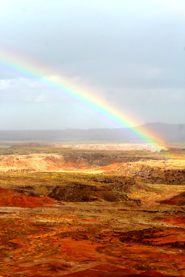 Whipple Point Rainbow