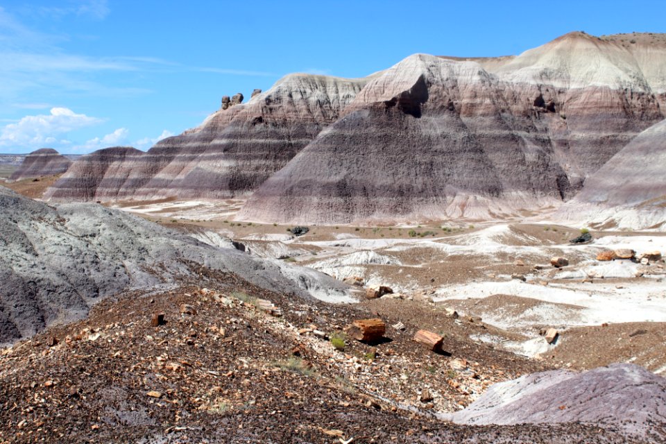 08-13-17 Blue Mesa Trail HL (33)