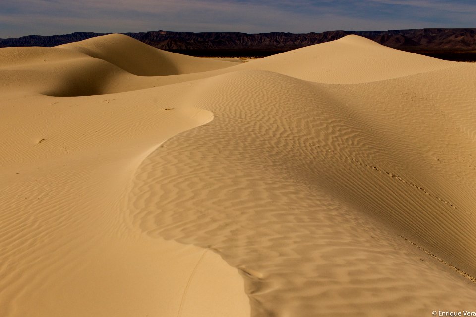 El Topo