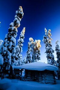 Wooden house fir light